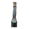 Câble Belden CAT5 7929A Bleu Belden