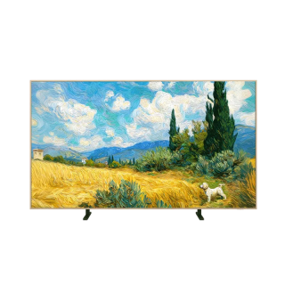 Téléviseur professionnel TCL 98A400PRO | écran 98 pouces 4K LED | luminosité 450 nits TCL