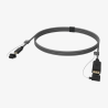 Câble USB-C vers DisplayPort Beetek B-TP906-2.5M | 2,5 m | vidéo haute définition Beetek