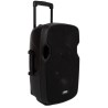 Enceinte amplifiée Rondson RNS-LA-12A | 240 W | 2 micros UHF Bluetooth Rondson