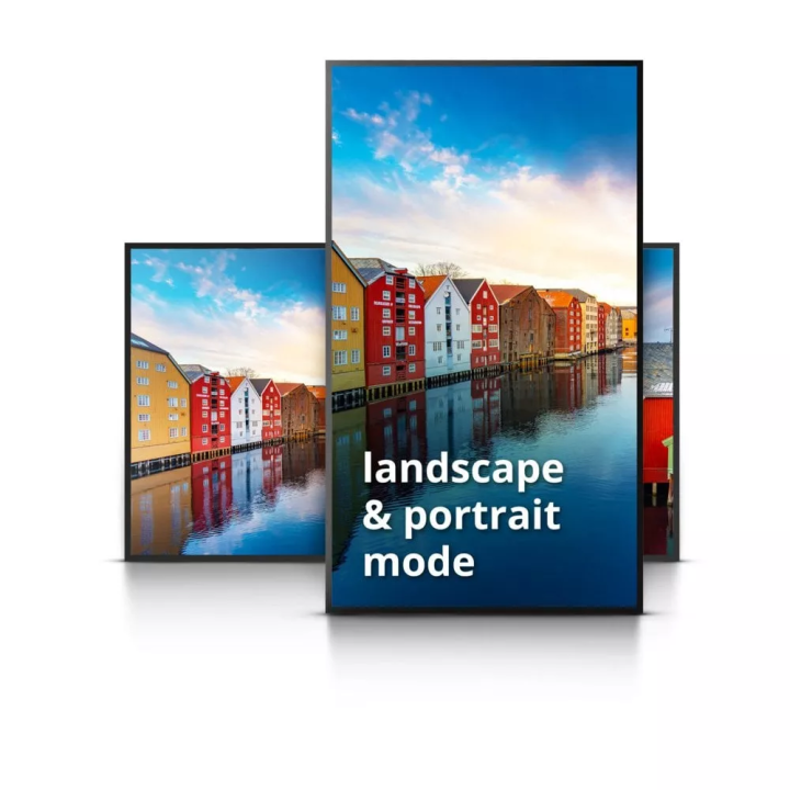 NovoDisplay DK553 - Ecran collaboratif 55 pouces - HA/7 Vivitek