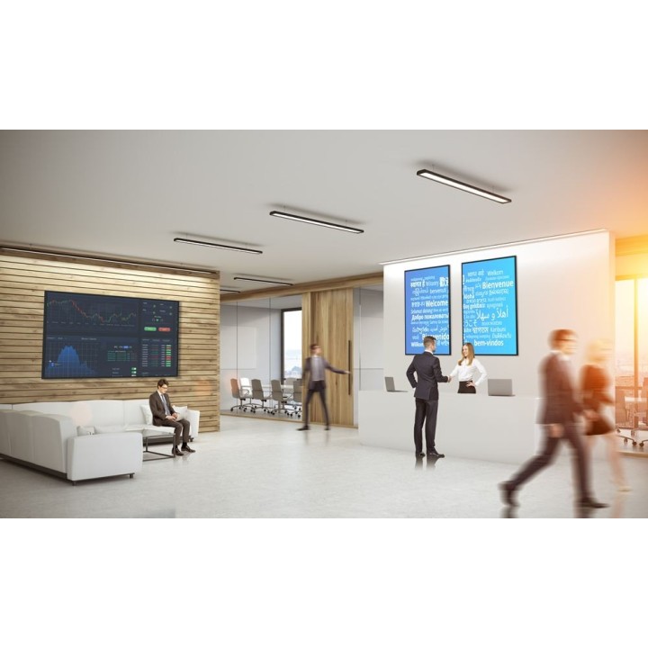 Écran LED Optoma N3651K | 65" | 4K UHD 3840x2160 Optoma