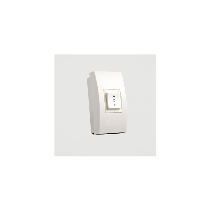Oray - Ecran motorisé Orion faux plafond pro 250x400 + PORT Oray