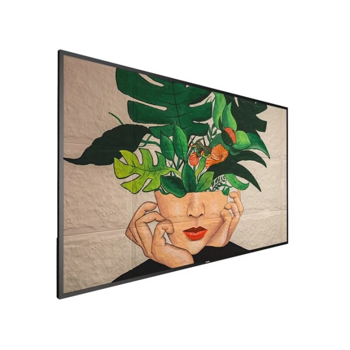 PHILIPS - 65BDL4511D/00 -  Ecran 65" UHD - Série D-Line 