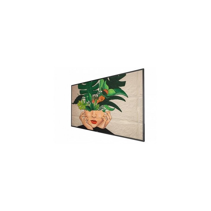 Écran professionnel Philips 55BDL4511D00 | 55" UHD | 500 cd/m² - 55BDL4511D00 - Philips