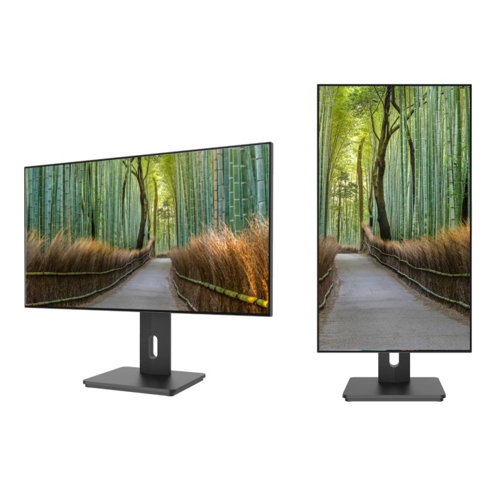 Écran PC bureautique Japannext JN-27IPS4FLWQHDR-H | 27" | WQHD 