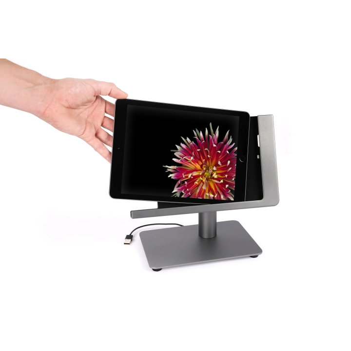 Viveroo Free iPad 10,9 (iPad 10. Gen) USB 1m - Argent Viveroo