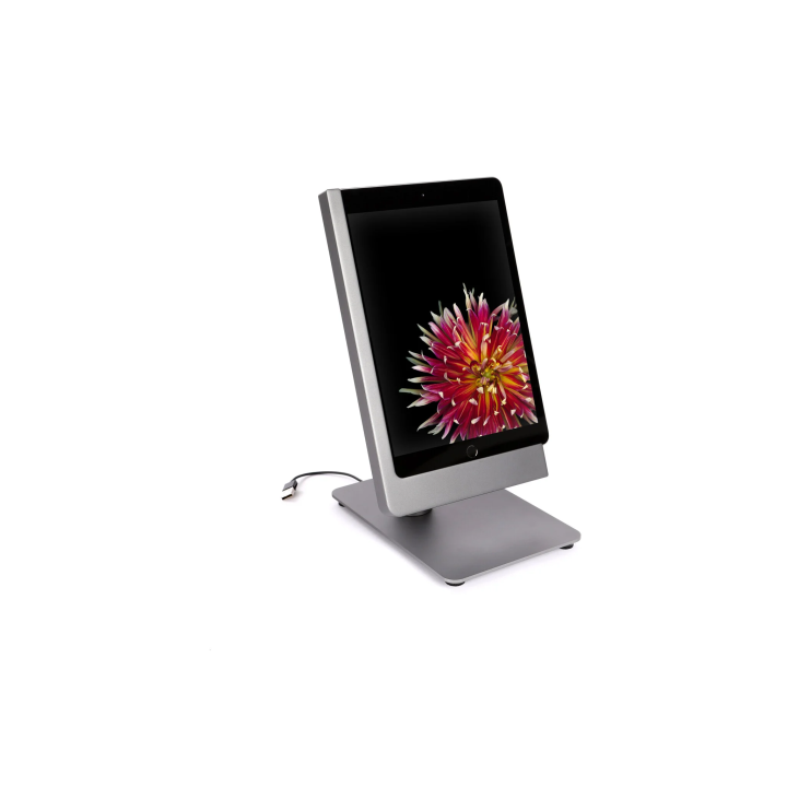 Viveroo Free iPad 10,9 (iPad 10. Gen) USB 1m - Argent Viveroo