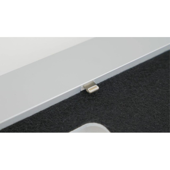 Viveroo Free SuperSilver 12.9 inch (3. Generation, 2018) Viveroo