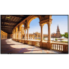 VESTEL - PF55D - Ecran Android 16/7 55" 4K IPS DLED 