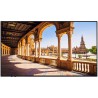 VESTEL - PF65D - Ecran Android 16/7 65" 4K IPS DLED 