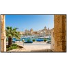 VESTEL - PN55D-HH - Ecran 55" 