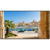 VESTEL - PN65D - Ecran 65" 