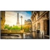 VESTEL - PR50D-HH - Ecran 50" 
