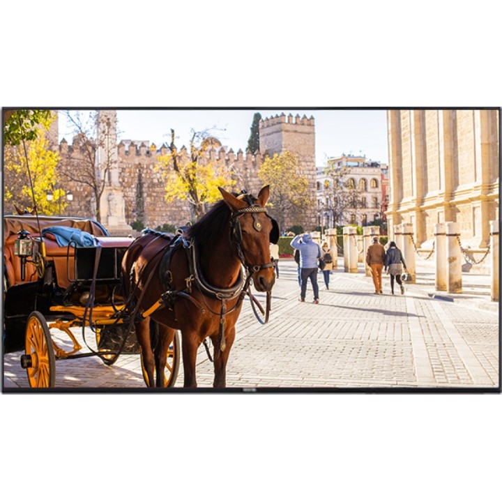 VESTEL - VB55B - Ecran 55" 4K 