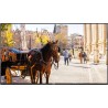 VESTEL - VB55B - Ecran 55" 4K 