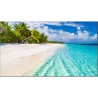 VESTEL - WY55B - Ecran mur d'image 55" FHD 