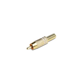 Fiche RCA mâle dorée blanche diamètre 8mm Keen connect