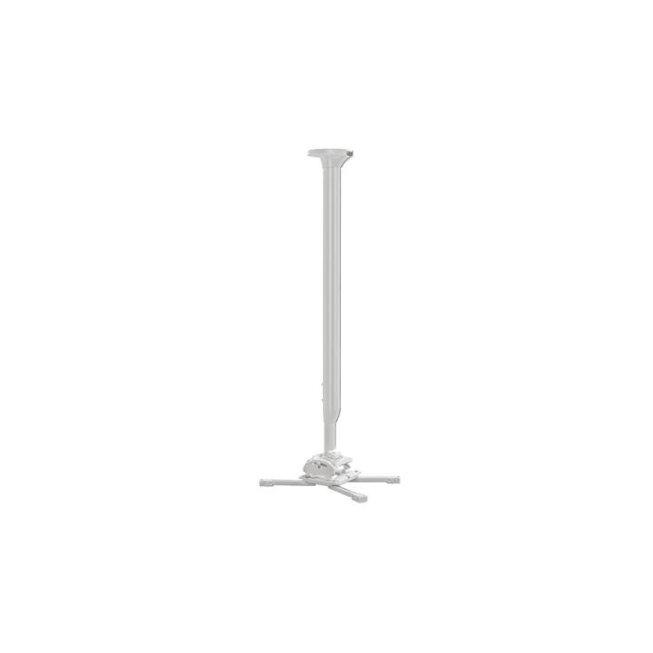 Chief - Kit support projecteur RSMEU+CPA116+colonne 80-135cm, blanc Chief