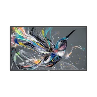 Écran professionnel PHILIPS 43BDL3511Q00 | 43" IPS | UHD 400cd/m² 