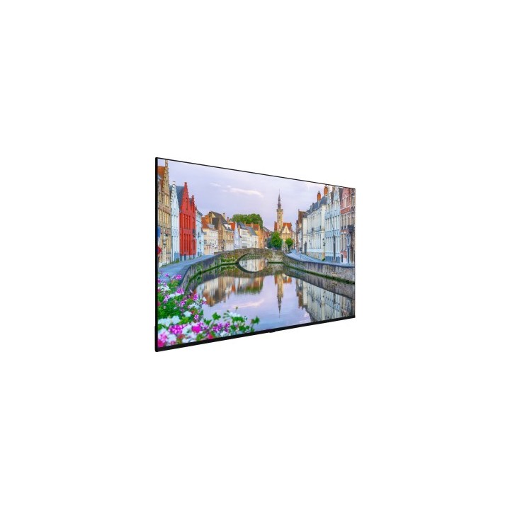VESTEL - LB55G - Ecran 55"  FHD 