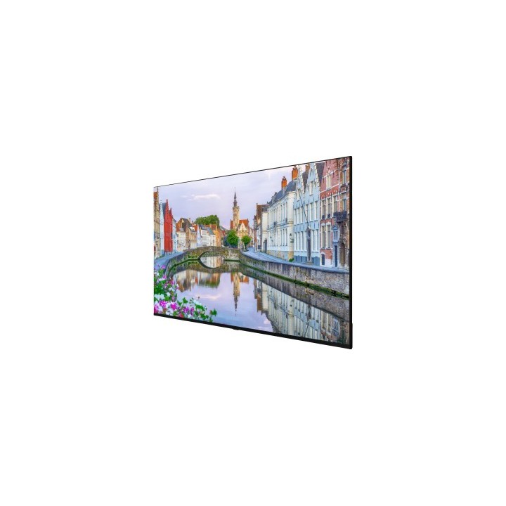 VESTEL - LB55G - Ecran 55"  FHD 