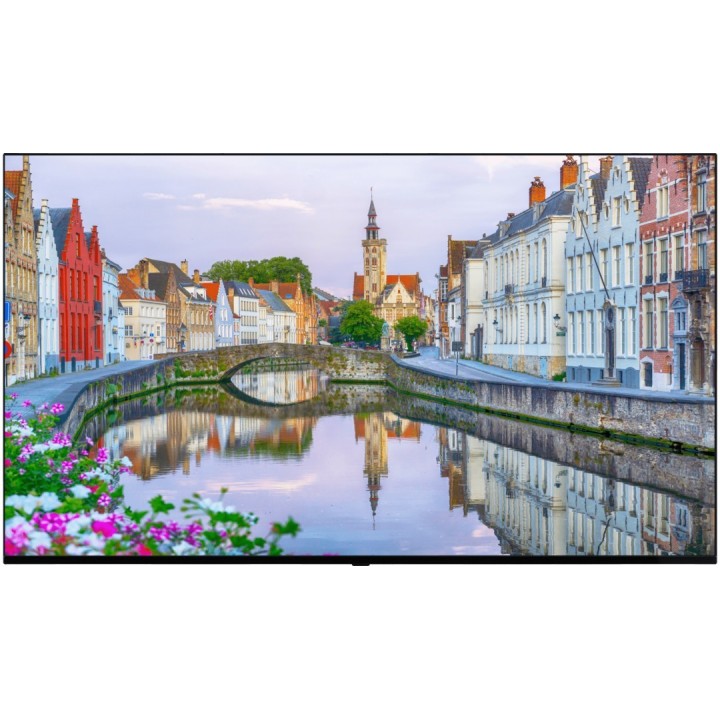VESTEL - LB65G - Ecran 65" FHD 