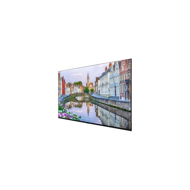 VESTEL - LB65G - Ecran 65" FHD 