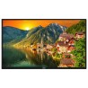 VESTEL - EL32G - Ecran Android 24/7 32" FHD DLED 