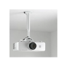 Chief - Support vidéoprojecteur de plafond - Colonne 30-45cm - Blanc Chief