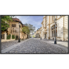 VESTEL - XF98D - Ecran 98" UHD