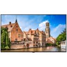 Écran professionnel Vestel VES-XN75D | UHD 75" | 24/7 usage