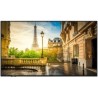 Écran professionnel Vestel VES-PR55D | 55" UHD | Android 24/7