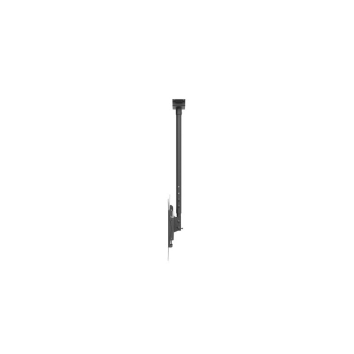 EDBAK - CML7 - Support de plafond avec hauteur ajustable pour écrans 32 à 46" 