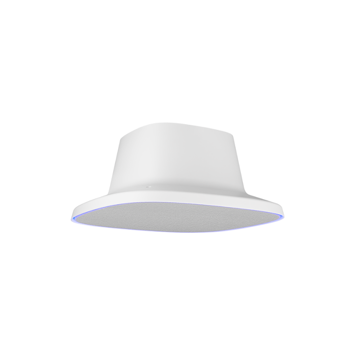 Haut-parleur de plafond AVer AVE-FONE700 | HUB de connexion | qualité sonore - AVE-FONE700 - AVer