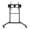 EDBAK - TR19 - Chariot mobile pour écran 55" à 110" 