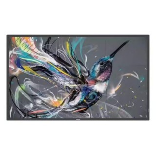 Écran professionnel PHILIPS 32BDL3550Q00 | 32" FHD | Direct LED 