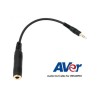 Câble audio AVer AVE-VBPRO-AUDIOCBL | sortie audio | VB342PRO