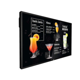 Écran professionnel PHILIPS 43BDL3017P00 | 43" | UHD 