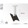Support plafond Audipack AUD-CMV2-0500G | 500 mm | VESA 100/200 Audipack