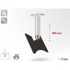 Support plafond Audipack AUD-CMV2-0800G | 800 mm | VESA 100/200 Audipack