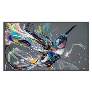 Écran professionnel PHILIPS 50BDL3511Q00 | 50" UHD | 400cd/m² 
