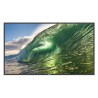 Écran professionnel PHILIPS 50BDL3650QE/00 | 50" | 4K LED 
