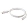 Cordon Ethernet C2G C2G83489 | Cat6 3m | anti-accrochement