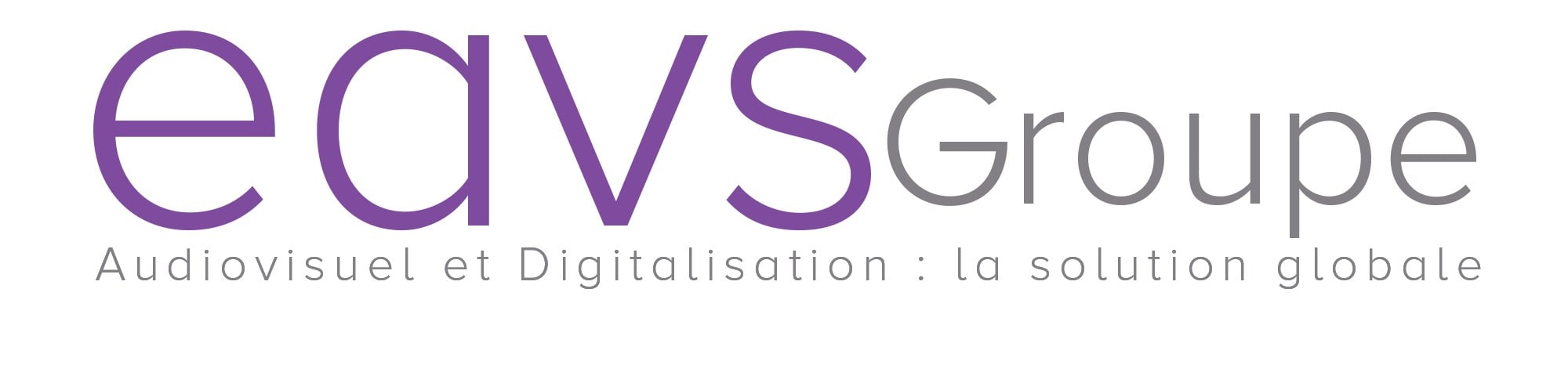EAVS GROUPE