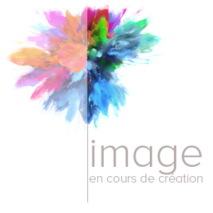 0001082_4k-multiviewer