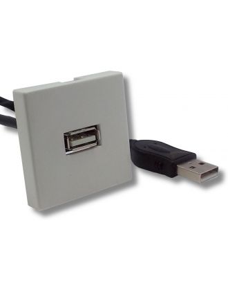 Plastron 45x45 blanc USB A Femelle/Mâle 0.20 m e-boxx