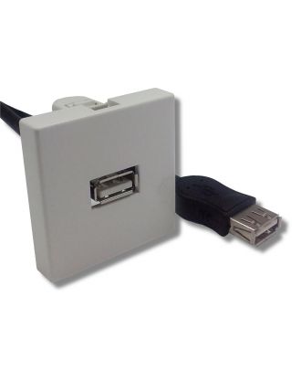 Plastron 45x45 blanc USB A Femelle 0.20 m e-boxx
