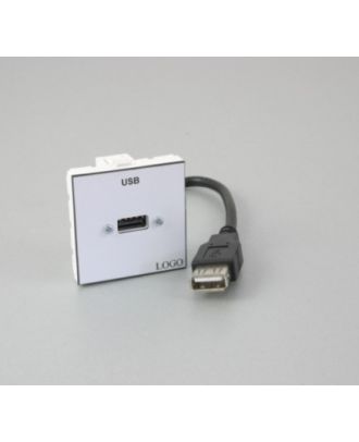 Plastron 45 + 1 USB A F 20cm vers fiche USB A F